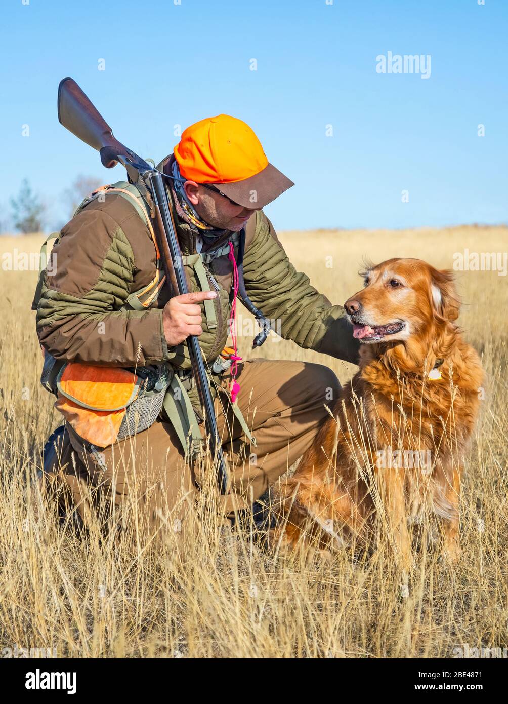 Hunter with rifle crouching beside a golden retriever dog; Denver, Colorado, United States of America Stock Photo