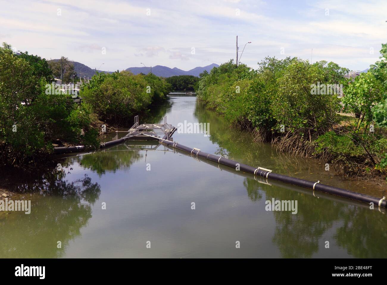 Saltwater crocodile trap set in creek near boat ramp, Fernleigh Street, Trinity Inlet, Cairns, Queensland, Australia. No PR Stock Photo