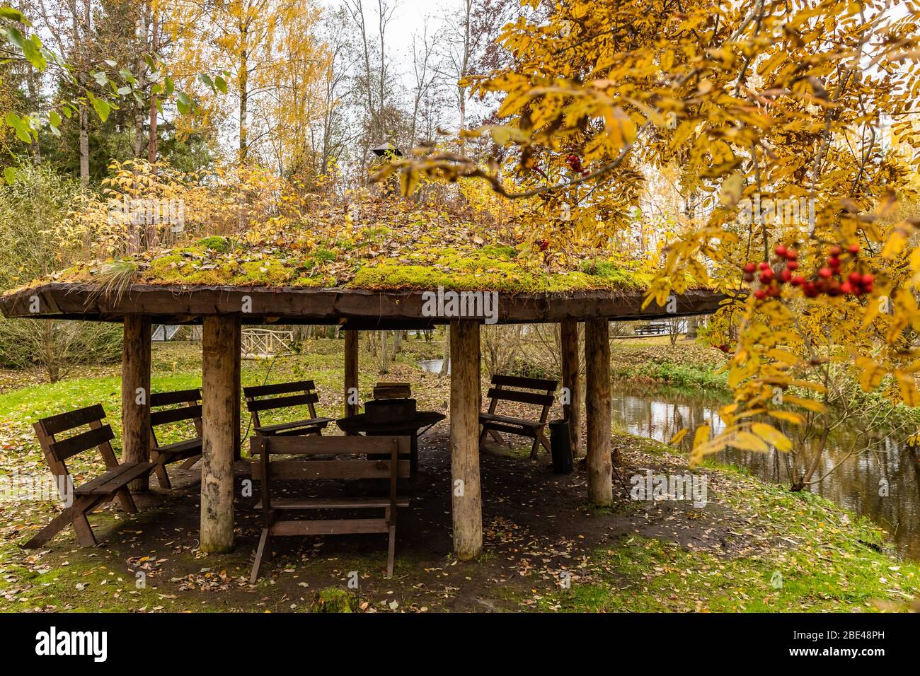 Forest lodge in backwoods, Wooden arbor, Branches with berries of a red ...