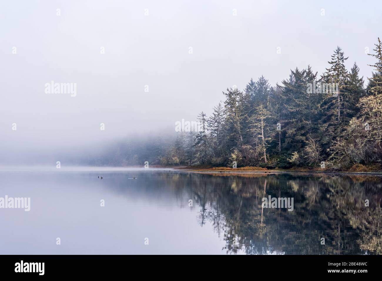 Fog begins to lift from a peaceful scene at Fort Stevens State Park on the Oregon Coast; Hammond, Oregon, United States of America Stock Photo