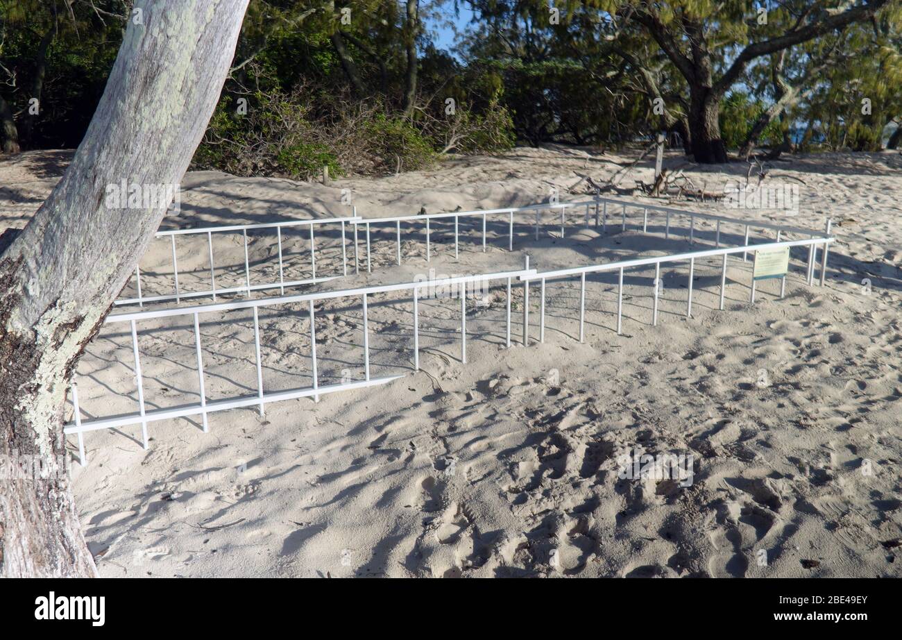 Fenced-off area of beach to protect loggerhead turtle nest from pedestrians, Heron Island, southern Great Barrier Reef, Queensland, Australia. No PR Stock Photo