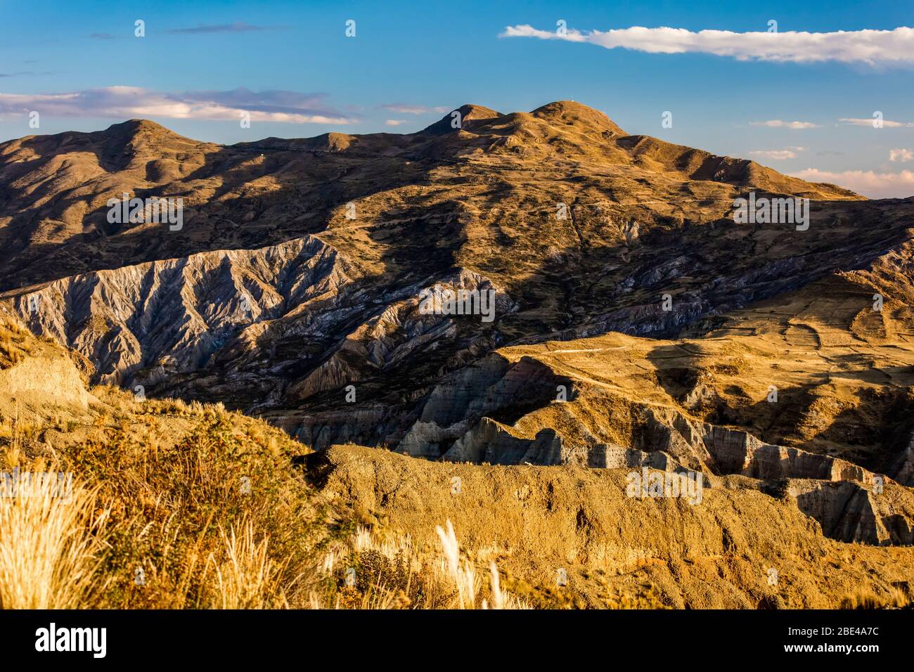 Valley of the Souls; La Paz, Pedro Domingo Murillo, Bolivia Stock Photo