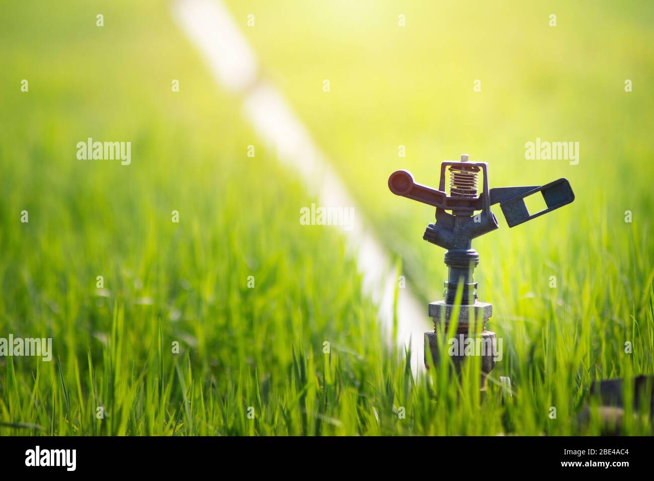 sprinkler watering on green grass. Water saving system concept Stock Photo Alamy