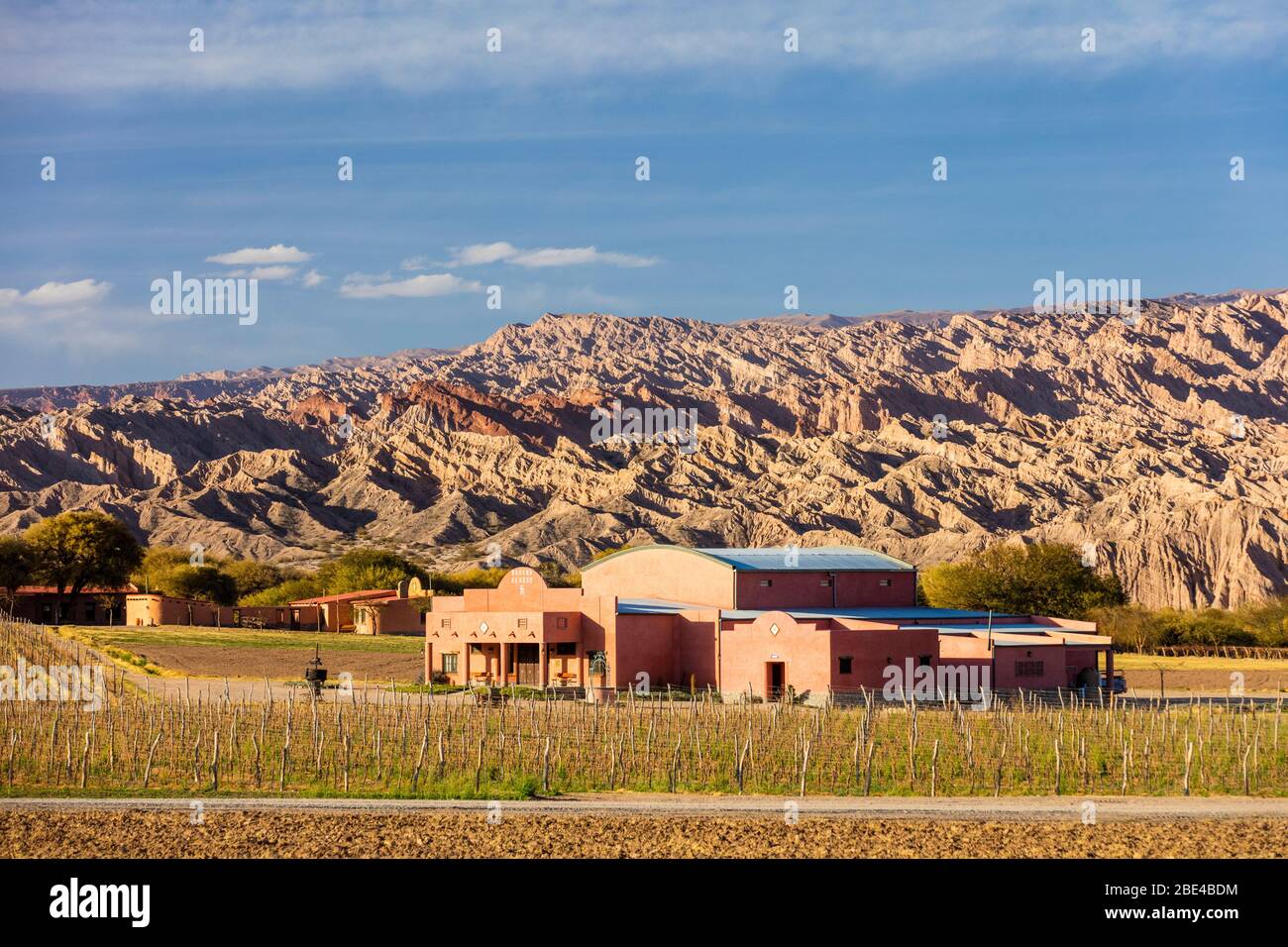 Vineyard in the wild mountains; Angastaco, Salta Province, Argentina Stock Photo