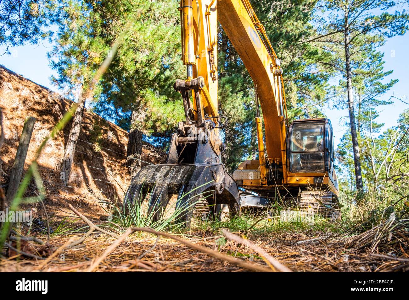 Yellow excavator in the grass under trees - low angle view Stock Photo