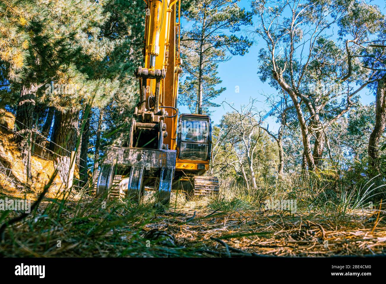 Wide angle view of industrial excavator among trees Stock Photo