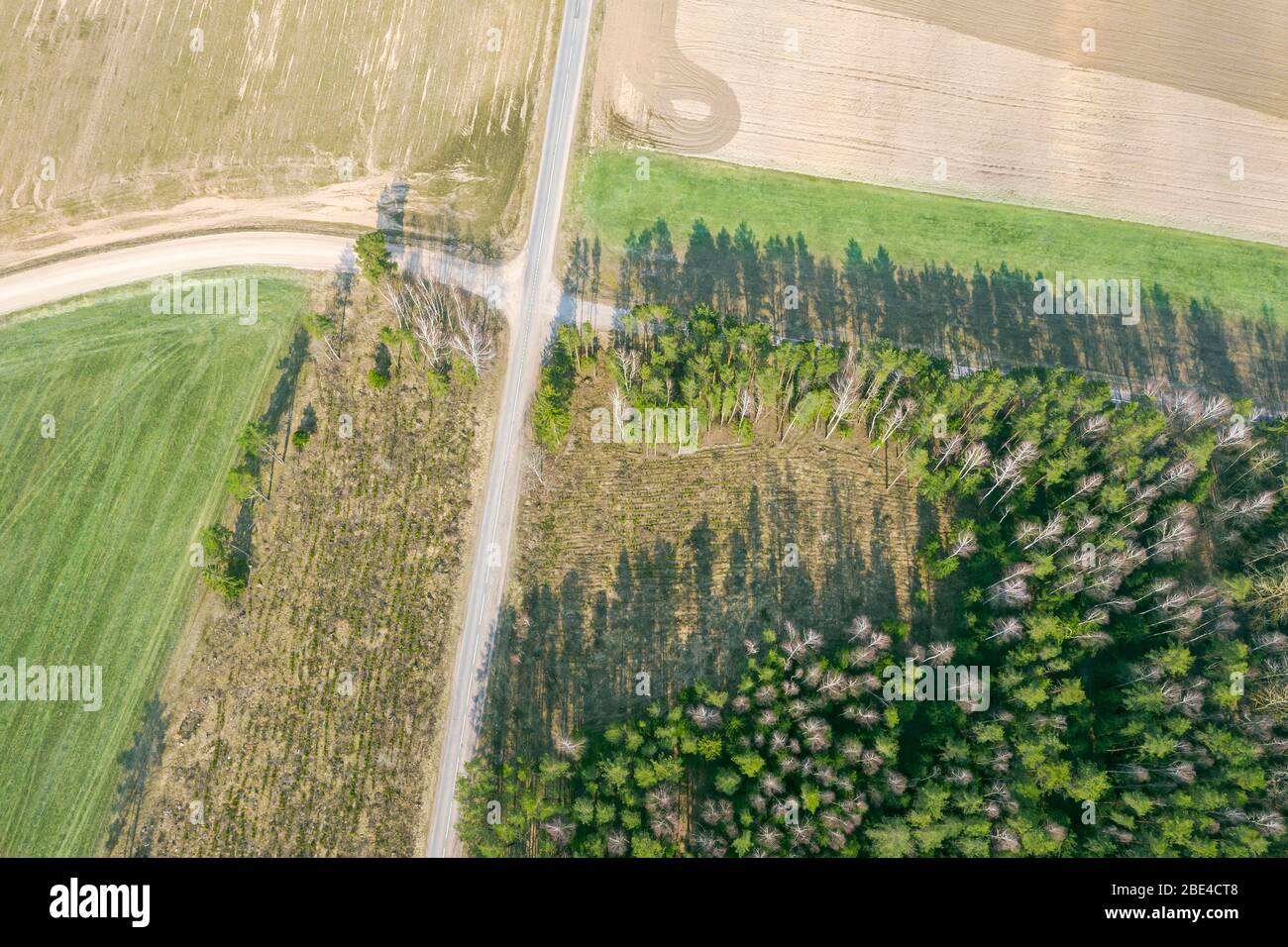 aerial view of dirt road between fields and forest. agricultural