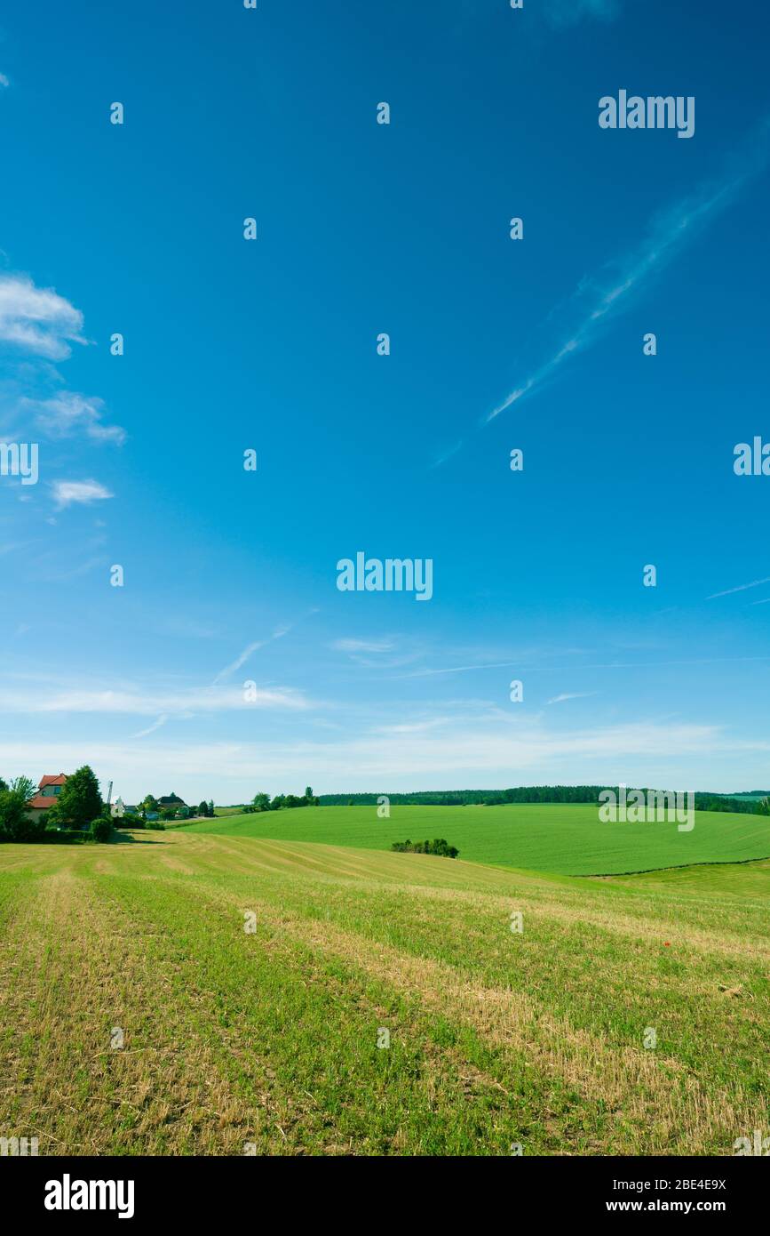green meadow under the blue sky. Farmland view in Europe Stock Photo ...