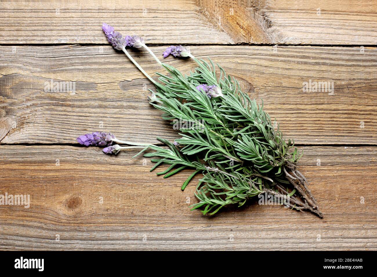 Bunch of Lavender on Wooden Background Stock Photo
