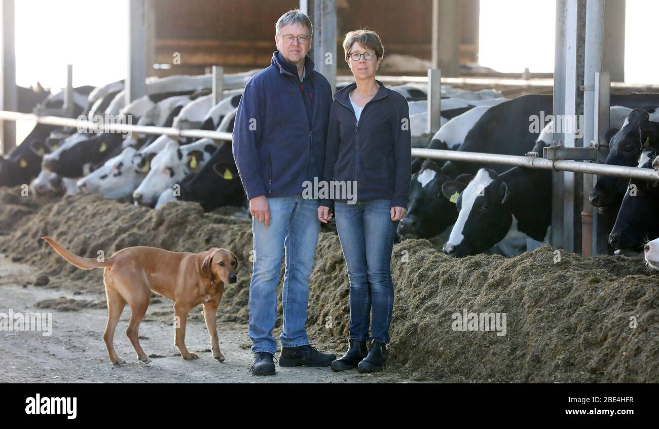 06 April 2020, Mecklenburg-Western Pomerania, Jördenstorf: Henning and Astrid Helms are standing with dog Cara in a barn on their farm next to dairy cows. The milk price is once again in the basement for producers. From the point of view of farmer Henning Helms, the trade abuses its market power. The Federal Association of German Dairy Farmers (BDM) and the Association of Free Farmers see one of the reasons in the Corona crisis. Photo: Bernd Wüstneck/dpa-Zentralbild/ZB Stock Photo