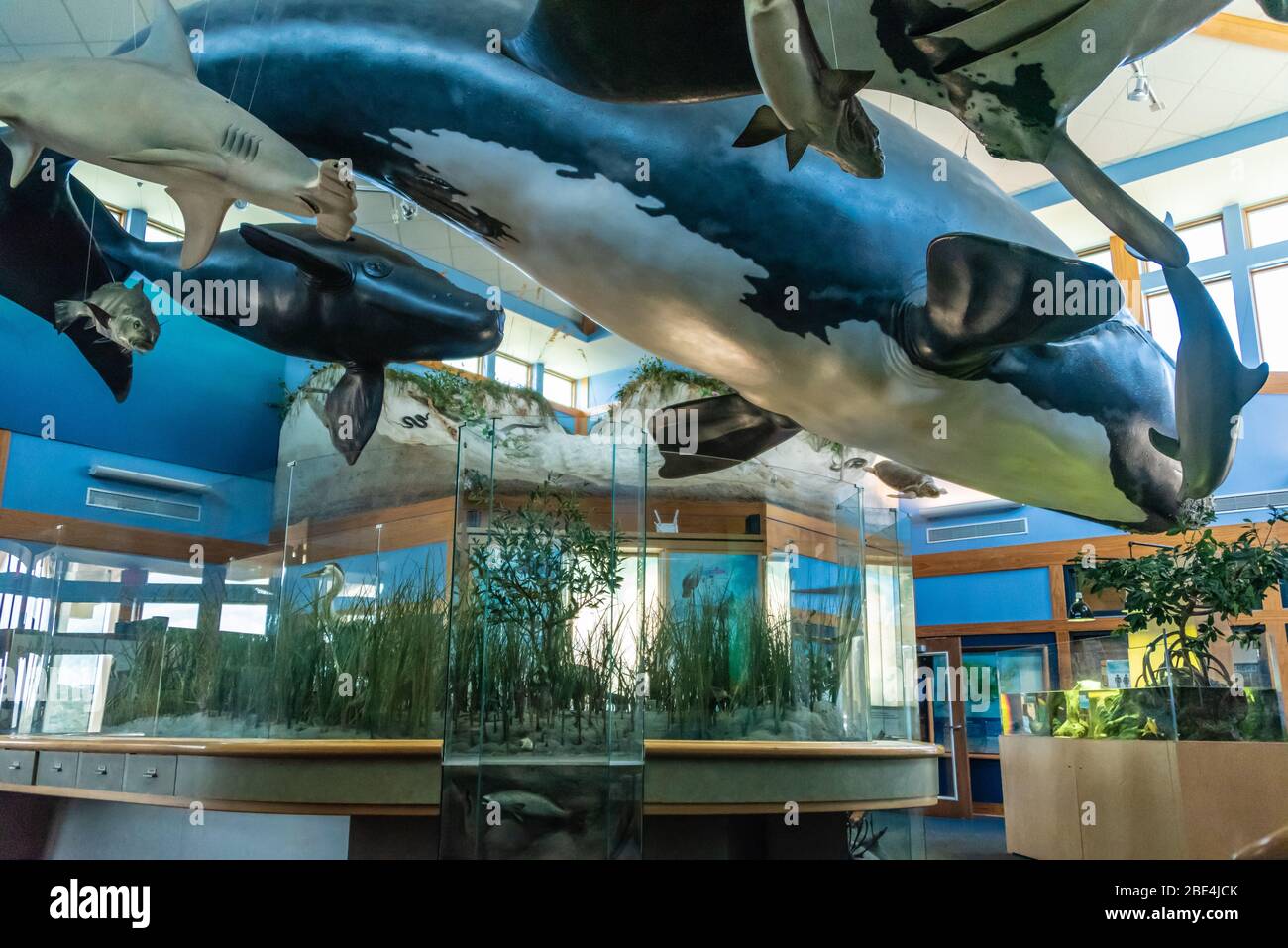 GTM Research Reserve Visitor Center in Ponte Vedra Beach, Florida. (USA) Stock Photo