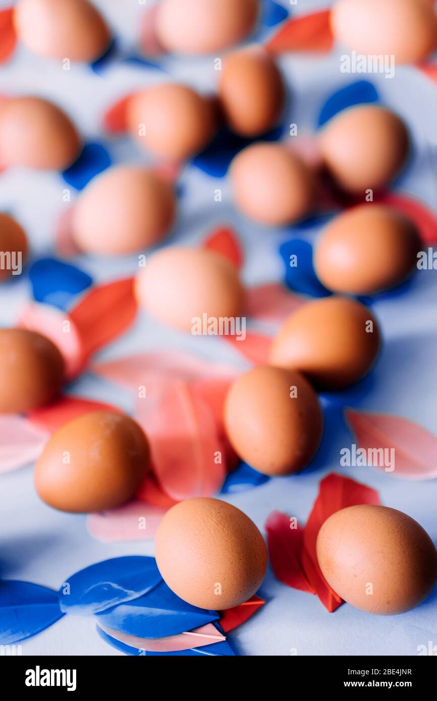 Chicken brown eggs and multicolored fluffy bird's feathers on light blue background. Happy Easter concept, flat lay composition. Top view. Stock Photo