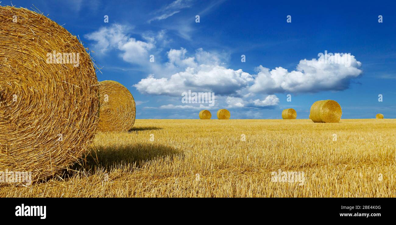 haystack harvested in cereal field Stock Photo - Alamy