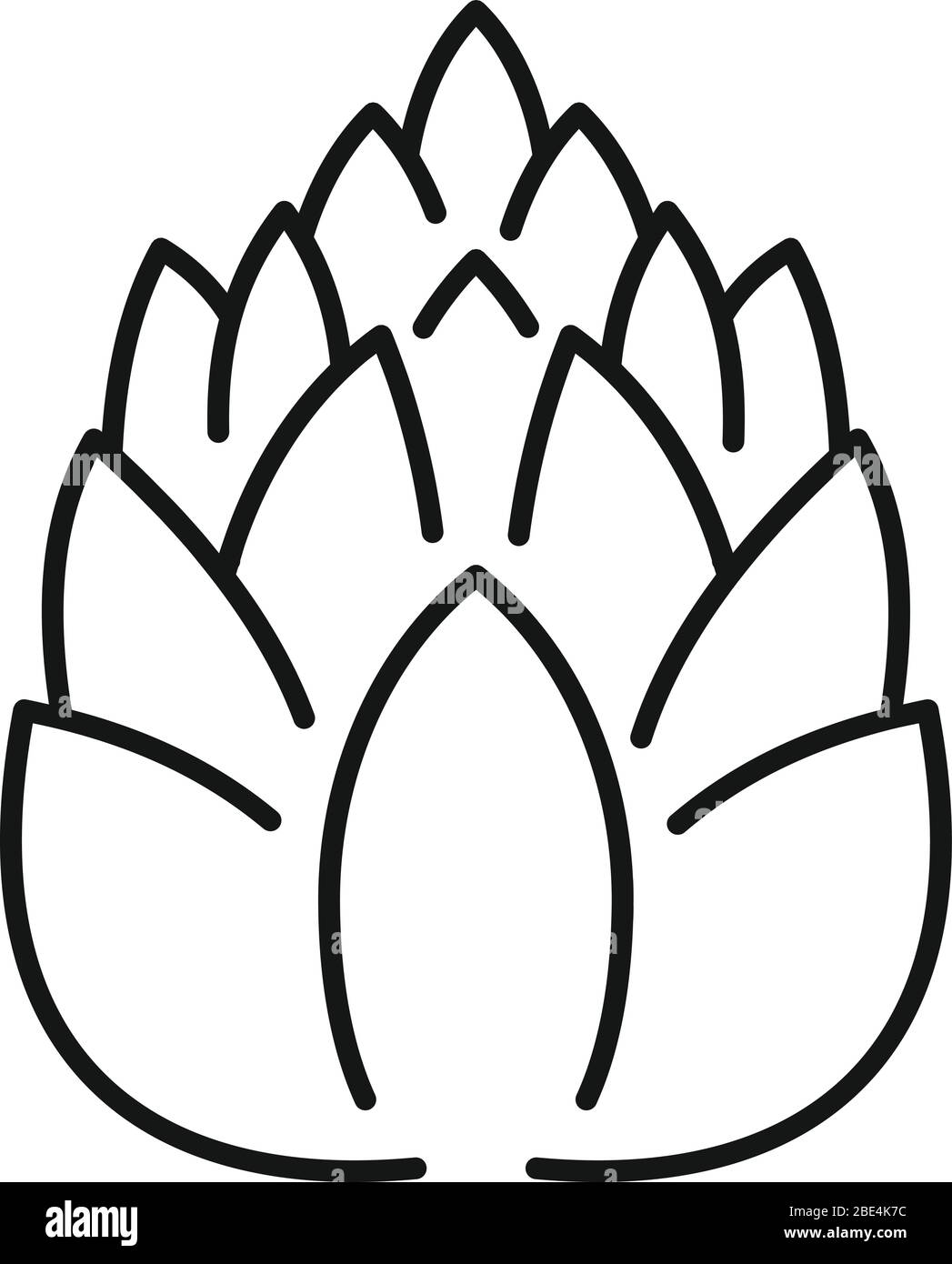 Coniferous pine cone icon. Outline coniferous pine cone vector icon for ...