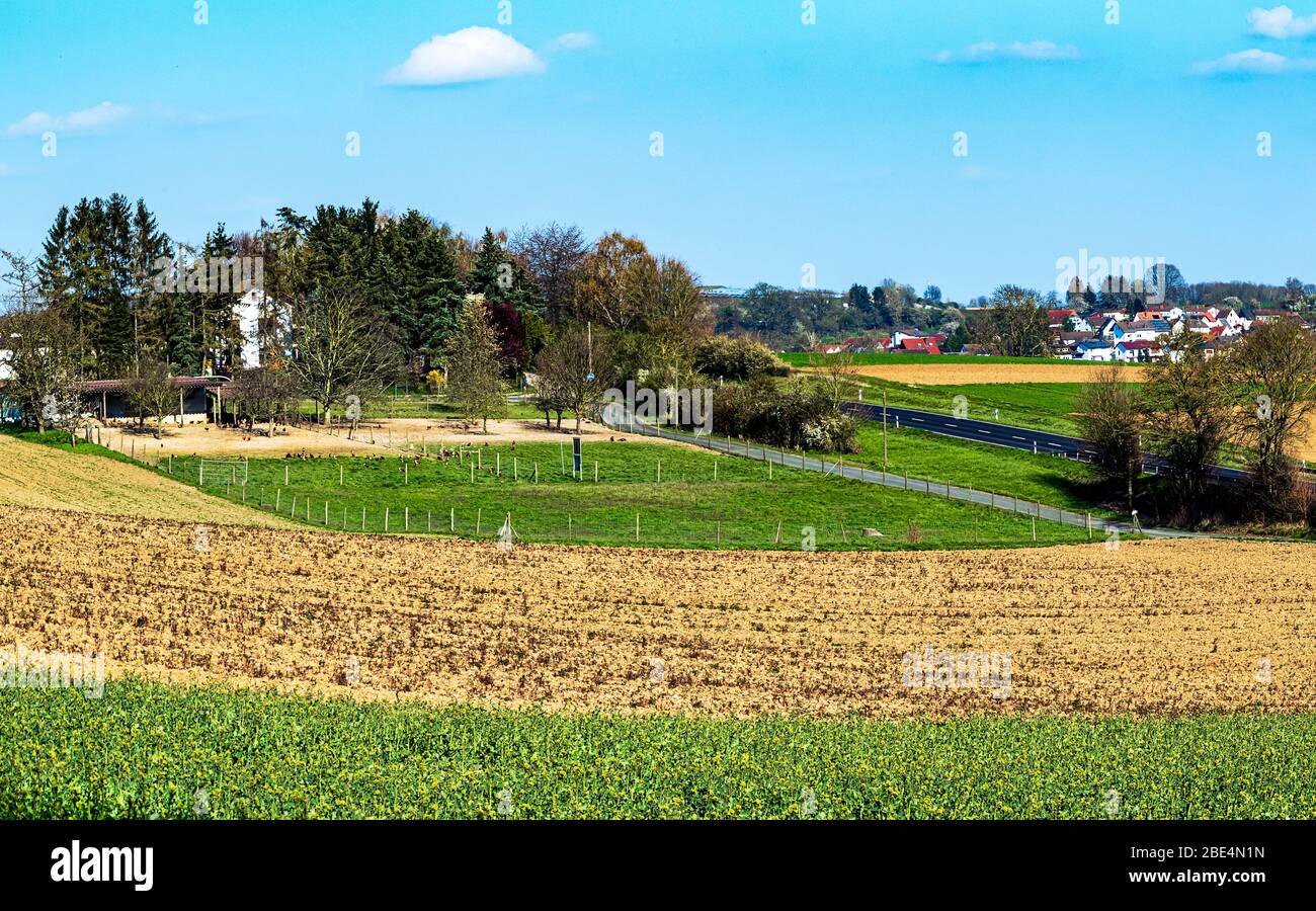 Spring farm fields hi-res stock photography and images - Alamy