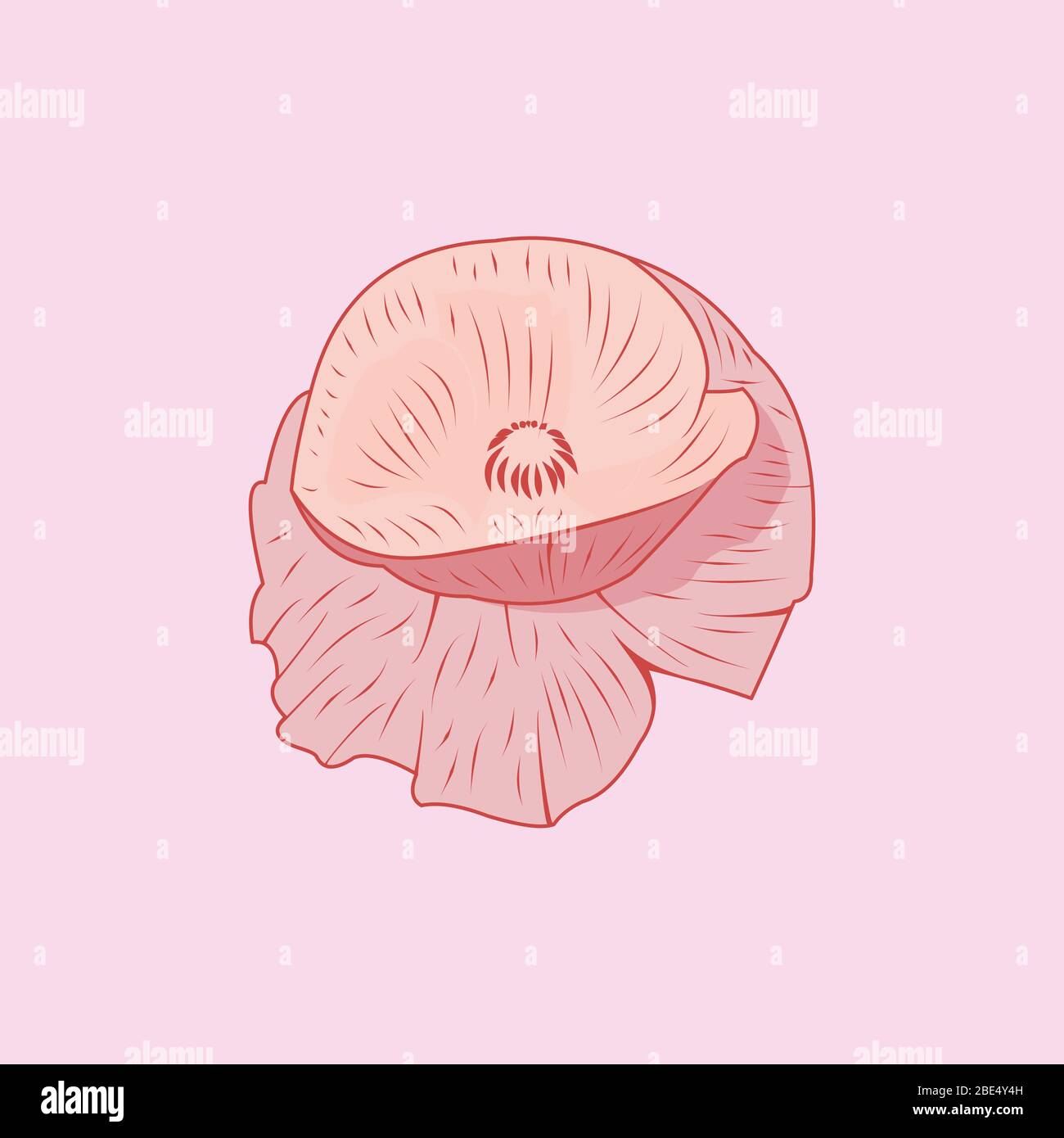 Lily Flower Logo Icon, vector illustration Stock Vector