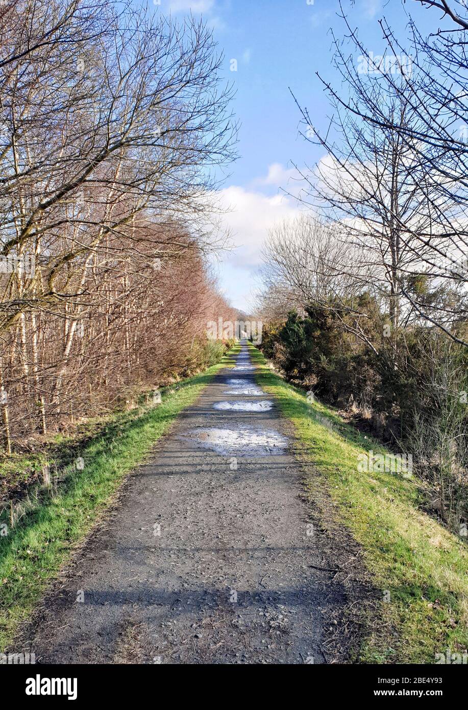 Fife Coastal Path from Kincardine to Rosyth Scotland UK Stock Photo