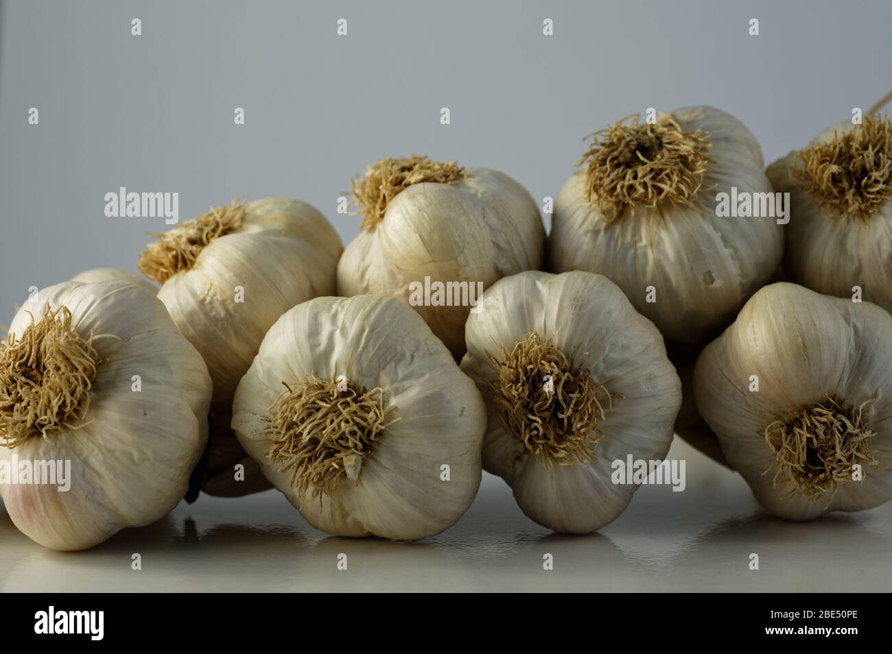 Garlic bulbs plaited together for easy storage Stock Photo Alamy