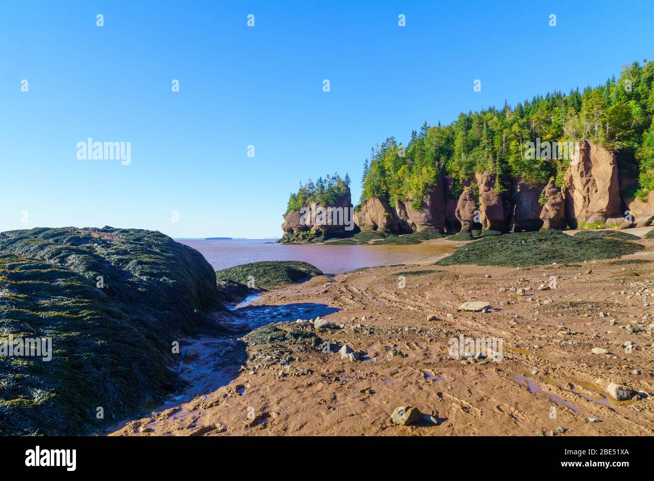 Famous rocks hopewell cape hi-res stock photography and images - Alamy