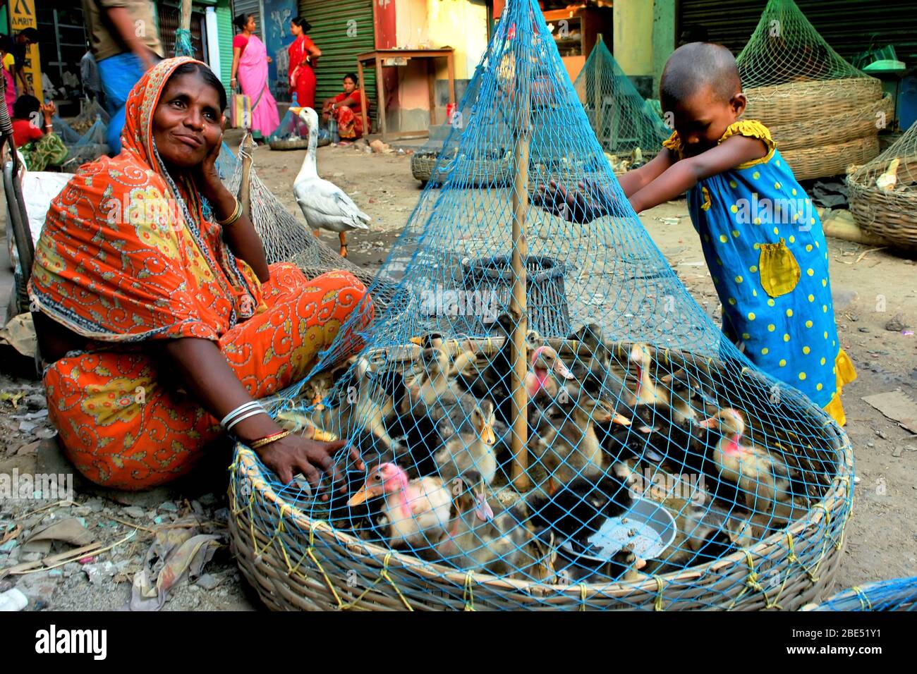 duck and chick seller mother and her girl child Stock Photo