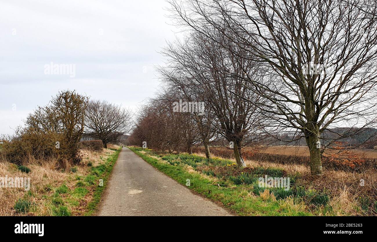 Fife Coastal Path, from North Queensferry to Burntisland Scotland UK Stock Photo Alamy