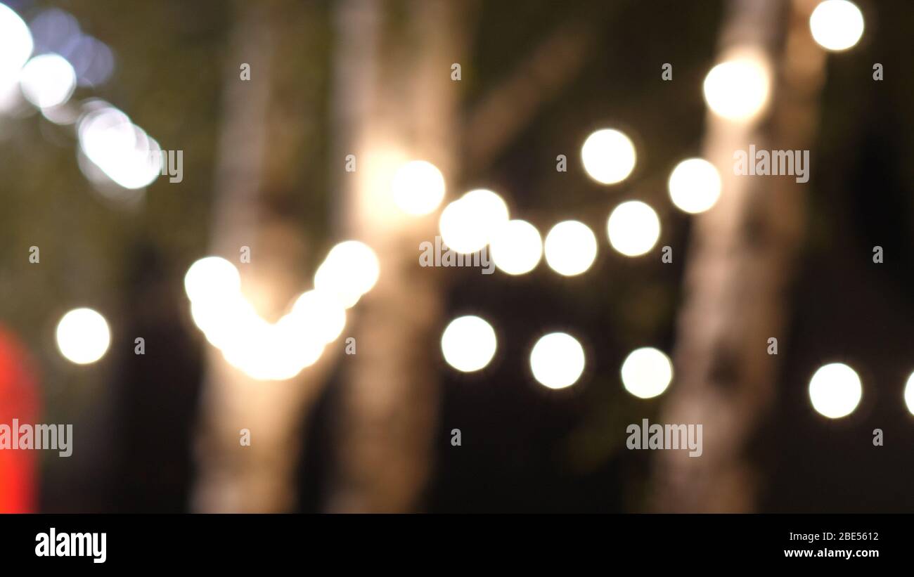 Blurred lights on trees in a park background. Stock Photo