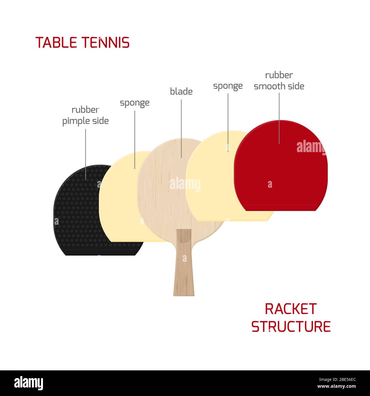 Illustration Of Table Tennis Paddle Structure Ping Pong Racket From Wooden Blade Sponge Smooth And Pimpled Rubber Vector Infographic Isolated On W Stock Vector Image Art Alamy