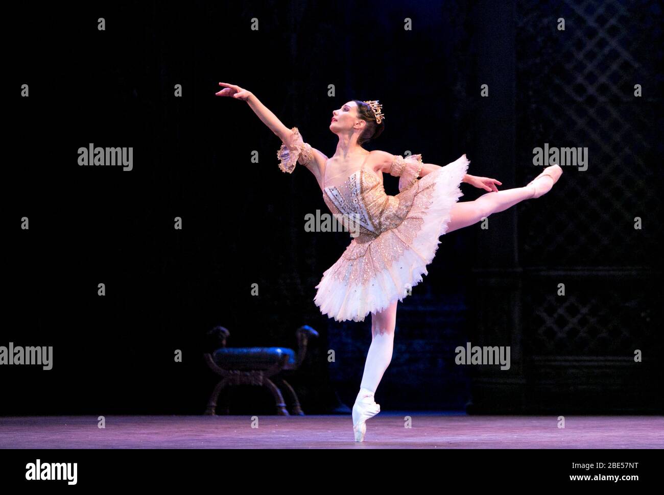 Professional Sleeping Beauty Princes Aurora La Fille Mal Gardee Classi –  UniqueBallet