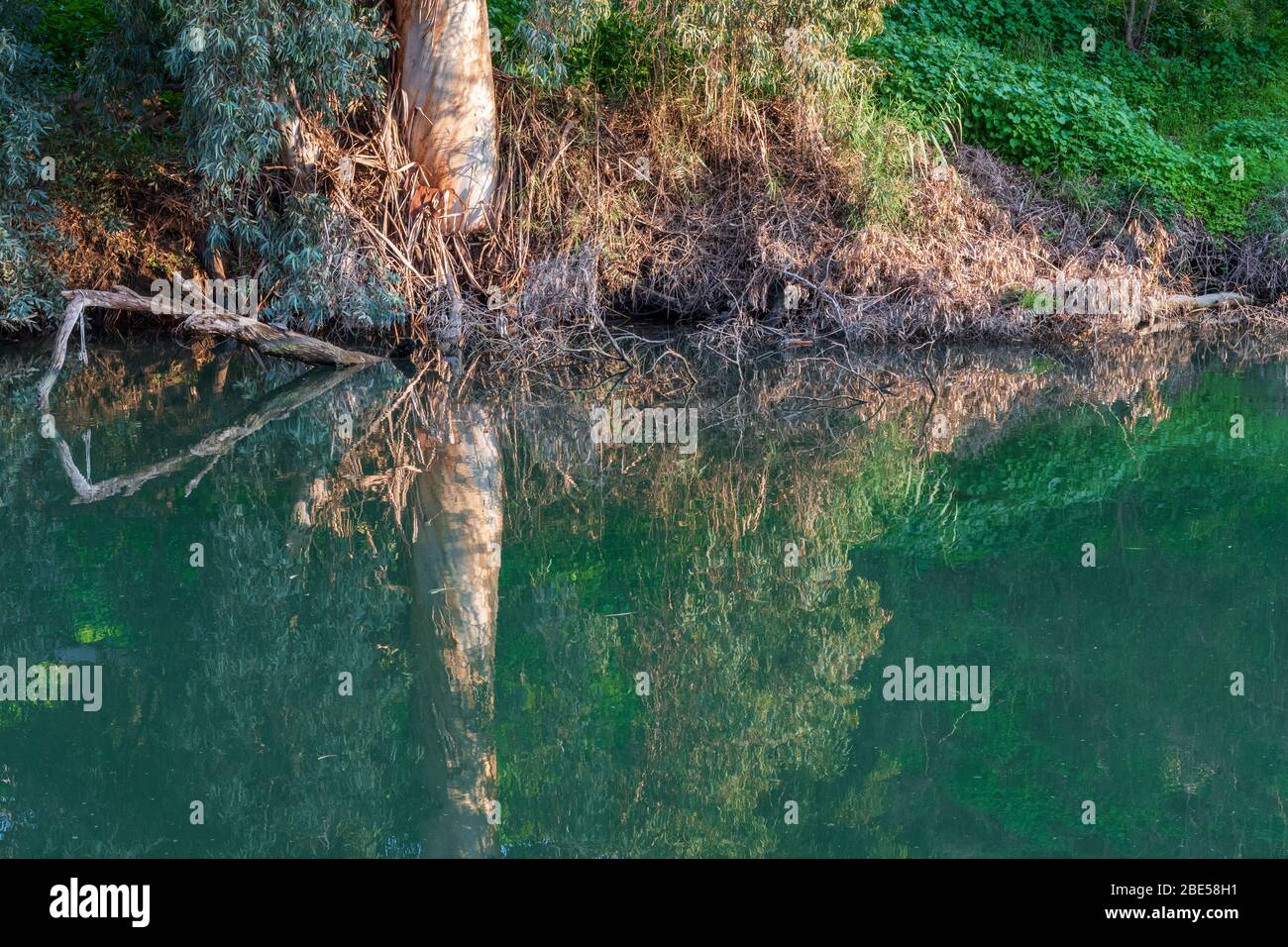 The Jordan river in Israel Stock Photo - Alamy