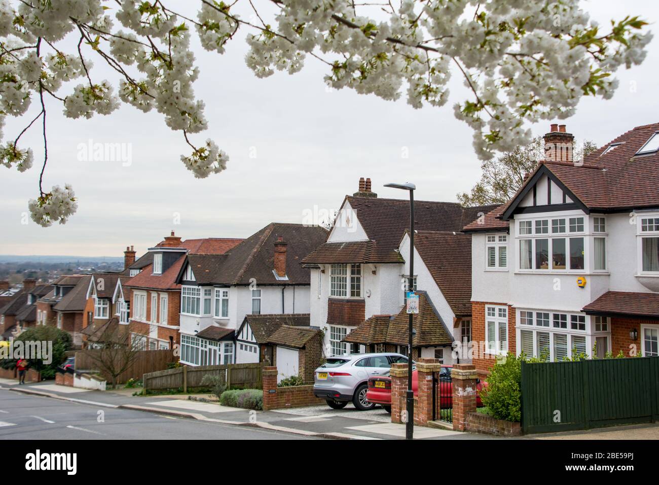 Street of houses during spring in Wimbledon south west London UK