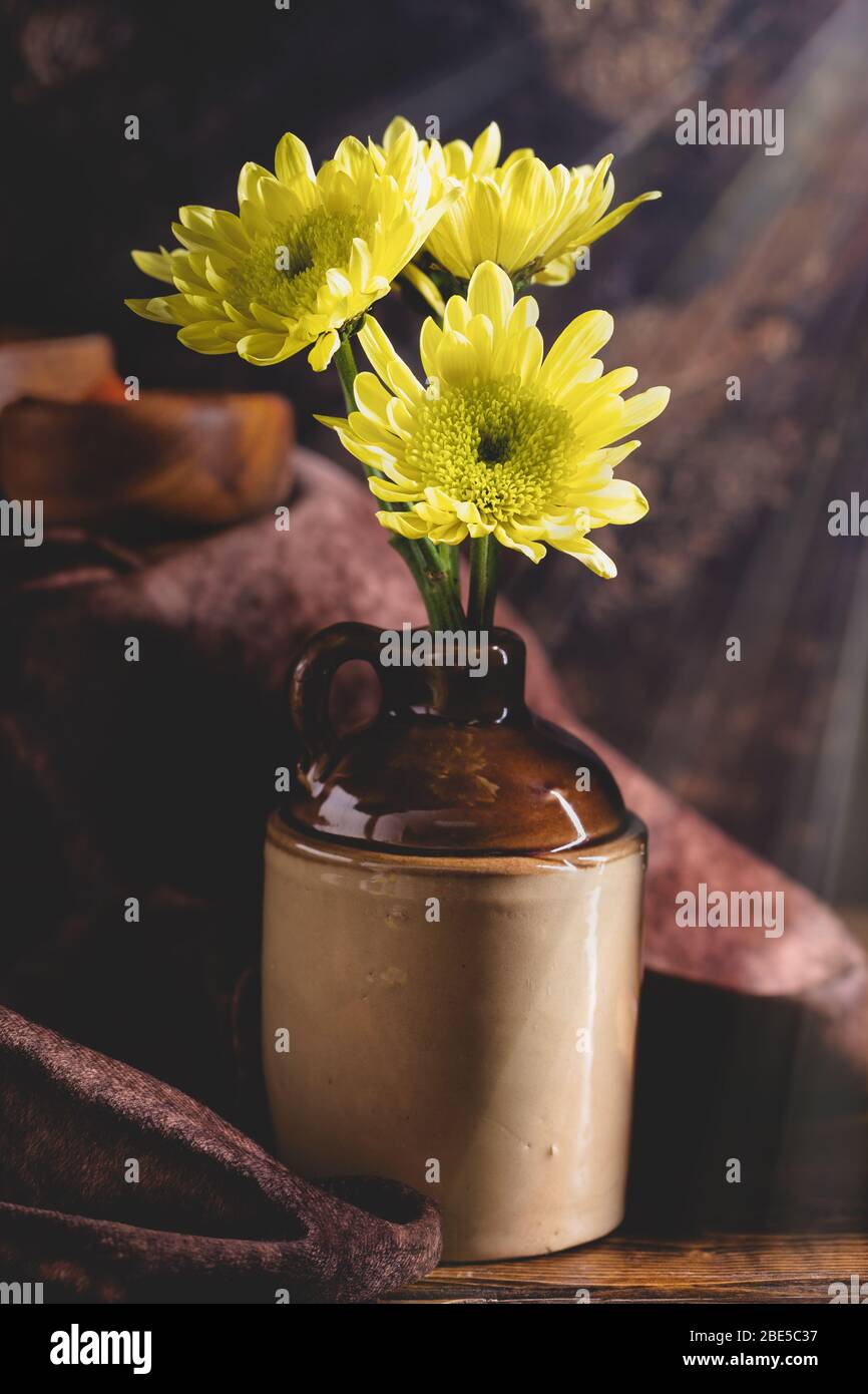 Yellow chrysanthemum flowers in a brown jug on a rustic wooden surface with rays of light shining from above Stock Photo