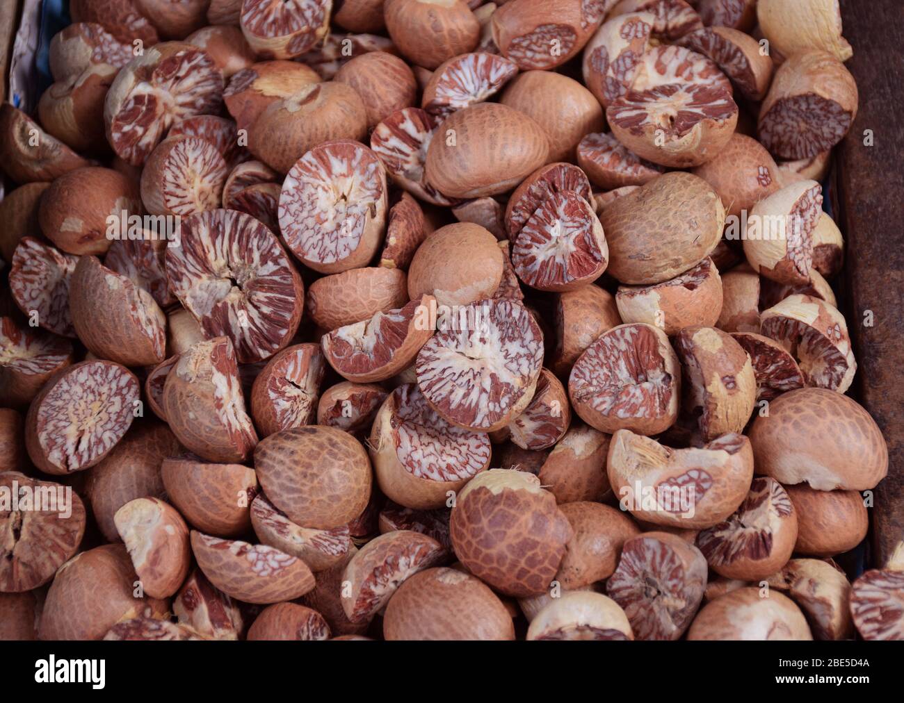 Betel nuts cut and uncut also called as Supari in India Stock Photo