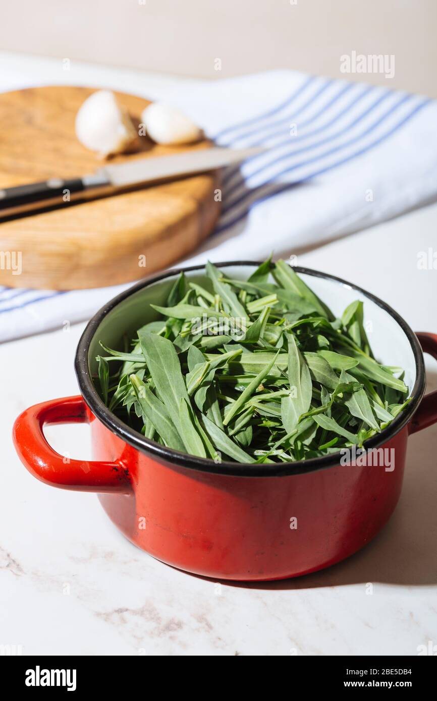 Silene Vulgaris, delicious spontaneous herb, ideal for risotto and omelettes. Stock Photo