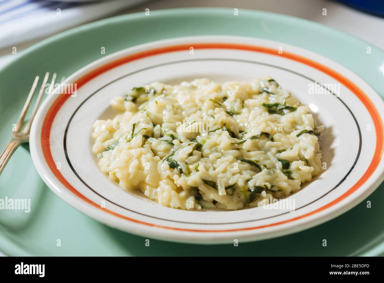 Silene Vulgaris risotto, delicious spontaneous herb, ideal also for omelettes. Stock Photo