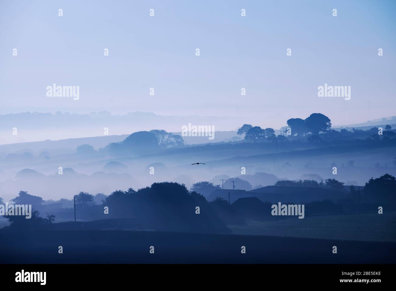 Misty morning over fields and trees in Cornwall Stock Photo