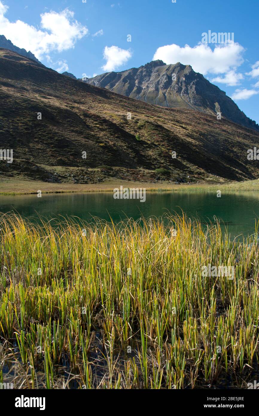 Grünsee mit Mittaghorn oberhalb von Sertig, Graubünden Stock Photo