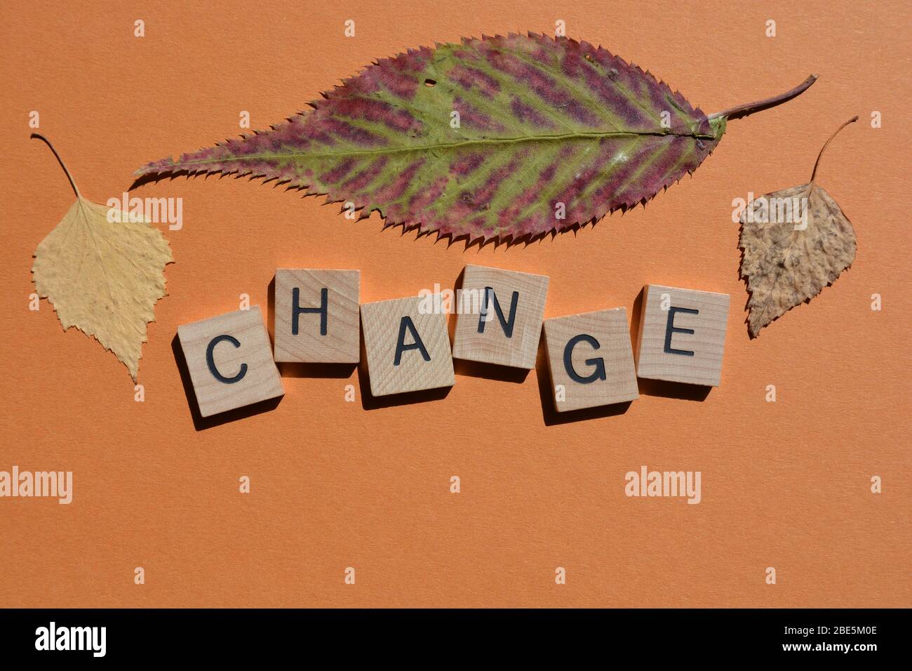 Change, word in wooden letters with autumn leaves Stock Photo