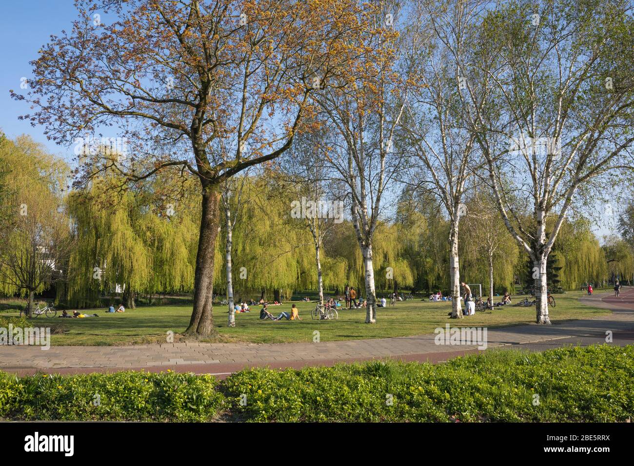 People enjoying sunny day at a city park staying at a risky safe social distance because of the Corona Crisis, Eindhoven, Netherlands Stock Photo