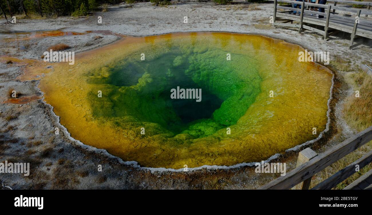 Morning Glory Pool in Yellowstone National Park Stock Photo