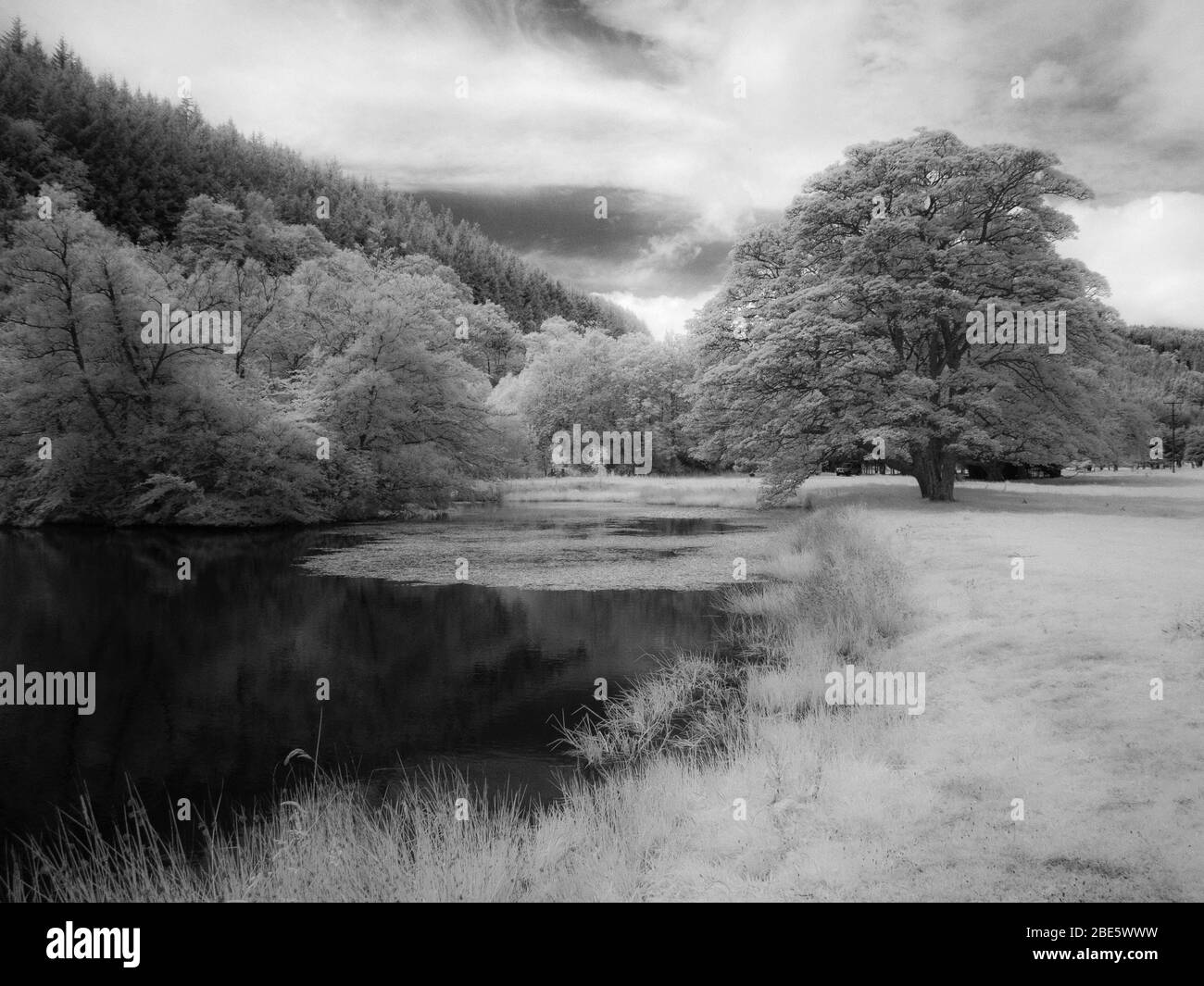 Infra-red image of a lake and trees Stock Photo