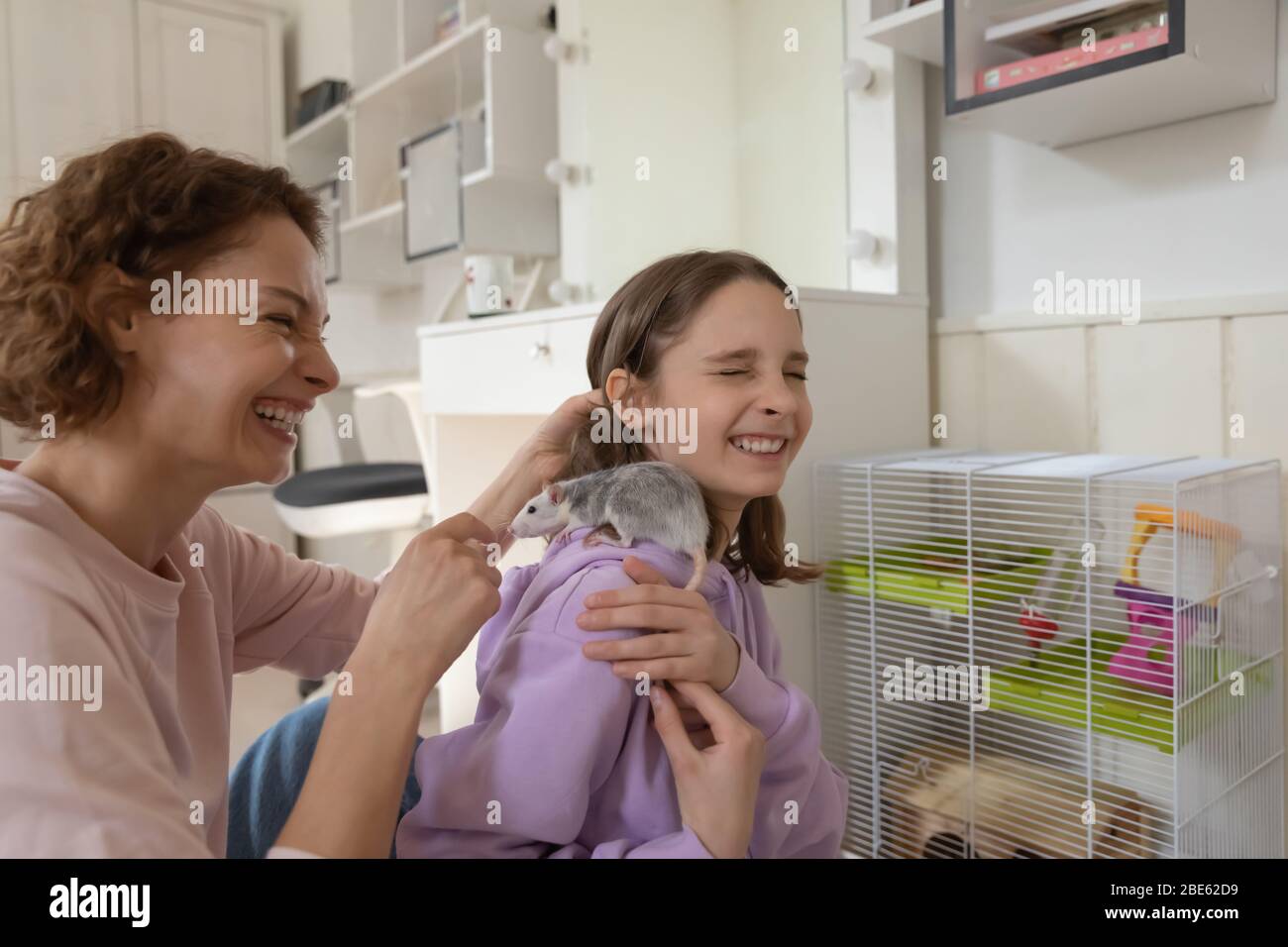 Cheerful mom and teenage daughter laughing playing with rat pet Stock Photo