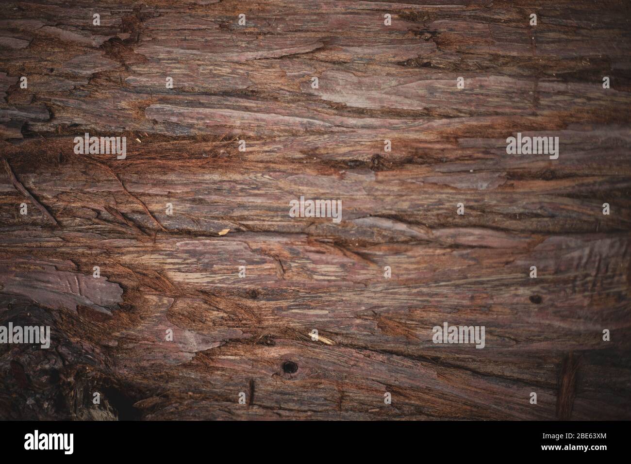 texture of bark wood use as natural background Stock Photo - Alamy
