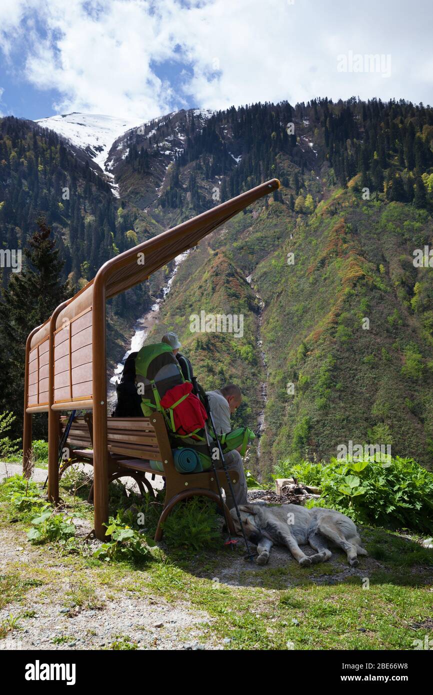 Hikers with big backpacks resting on wooden chair and dog sleeps near legs in shadow, mountains with forest and snow at background. Turkey, Kachkar Mo Stock Photo