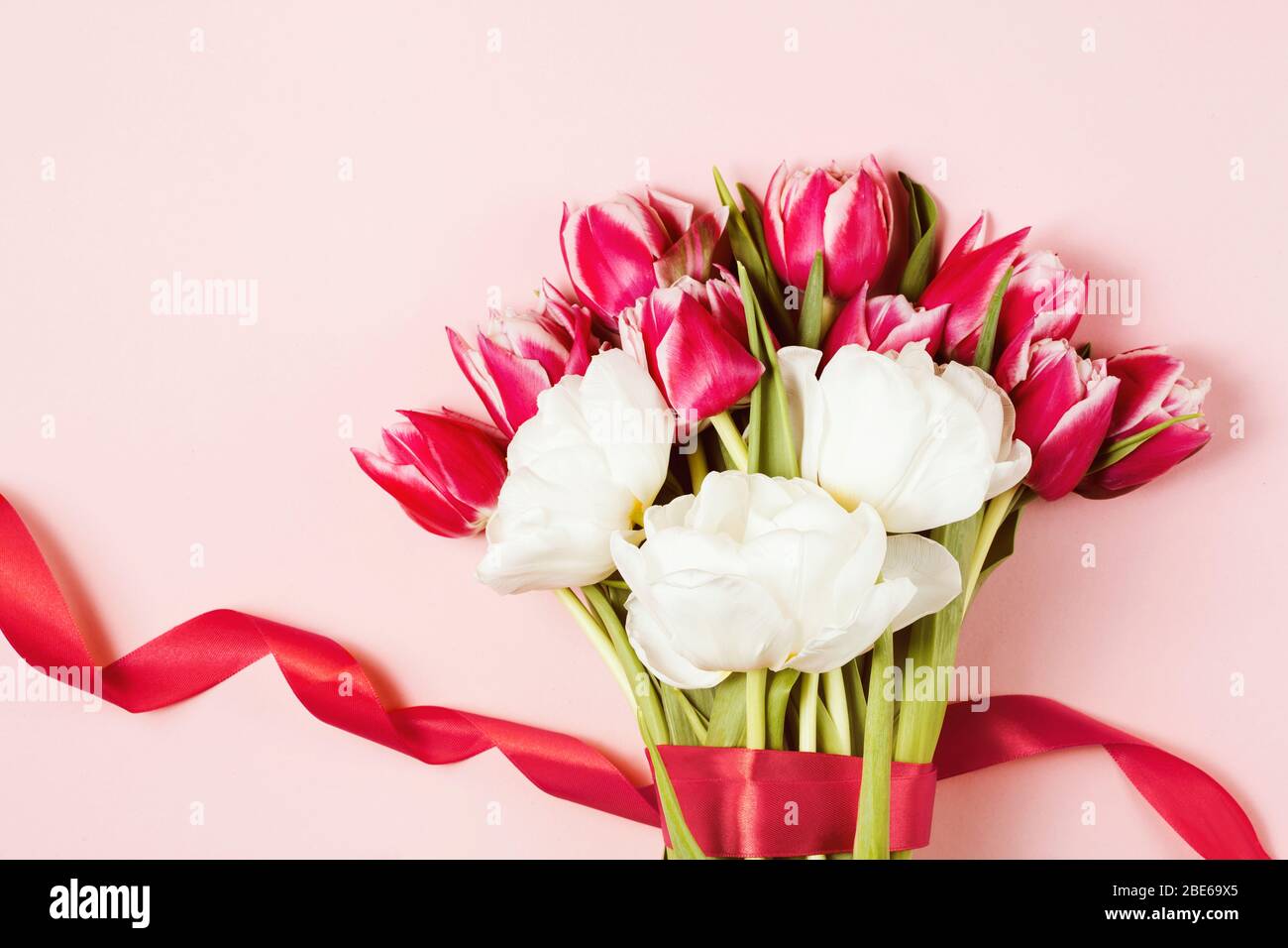 Bunch of pink and white peony tulips tied with a red ribbon on pinkish background. Mother's and Women's dan concept. Top view, copy space Stock Photo