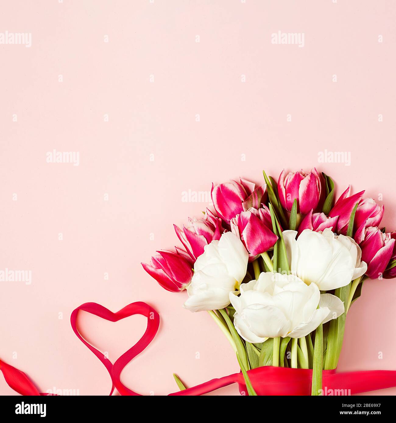 Beautiful bouquet of fresh pink and white tulips. Symbol of love. Valentine's day concept. Top view, copy space Stock Photo