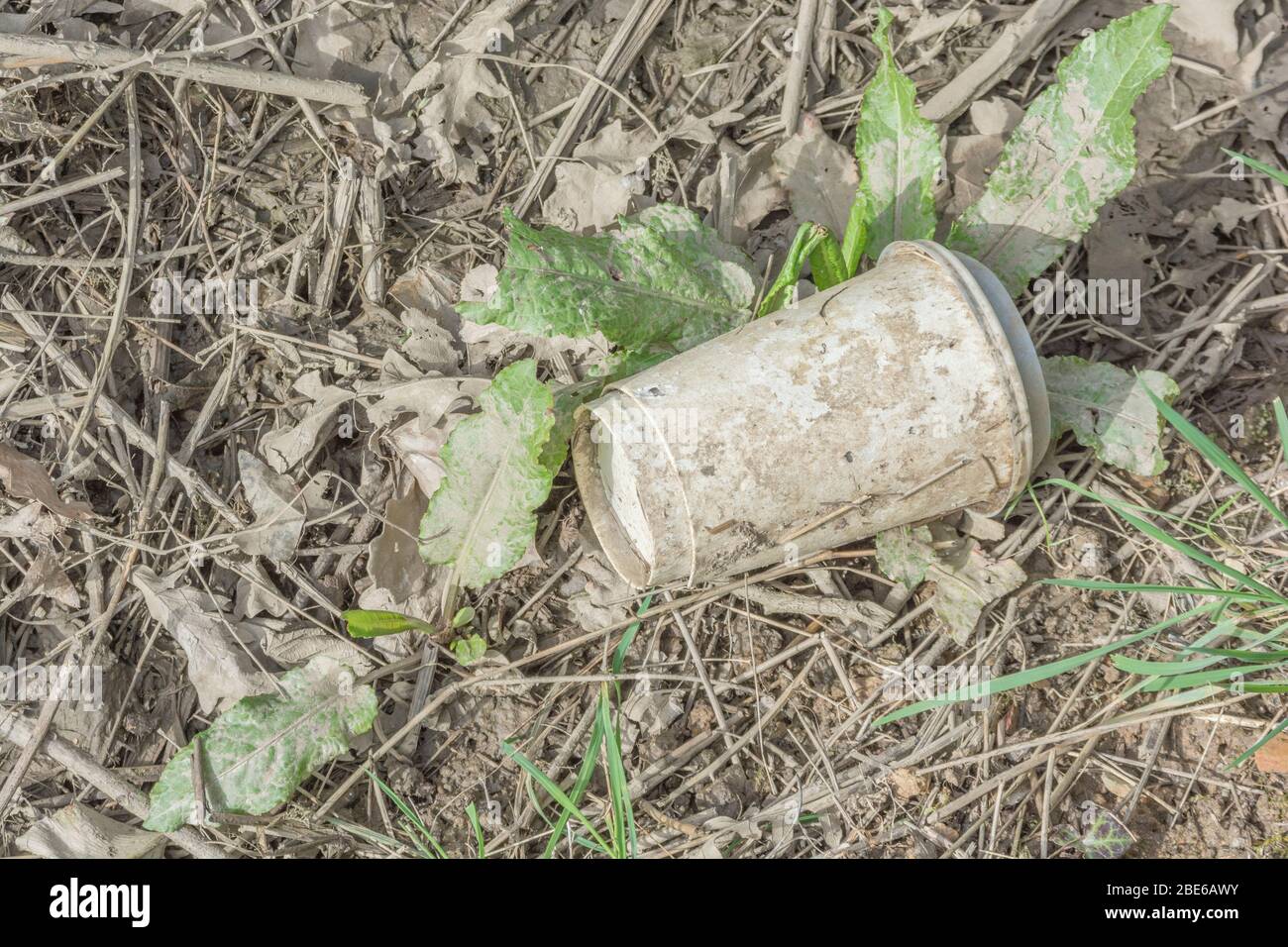 Unknown brand takeaway drinks cup (paper?) on the side of a country ...