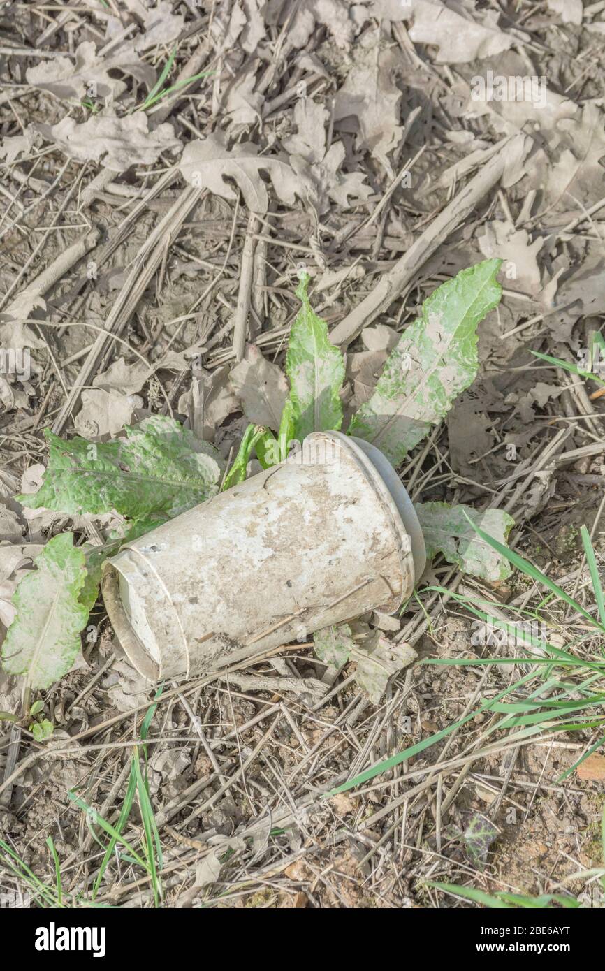 Unknown brand takeaway drinks cup (paper?) on the side of a country ...