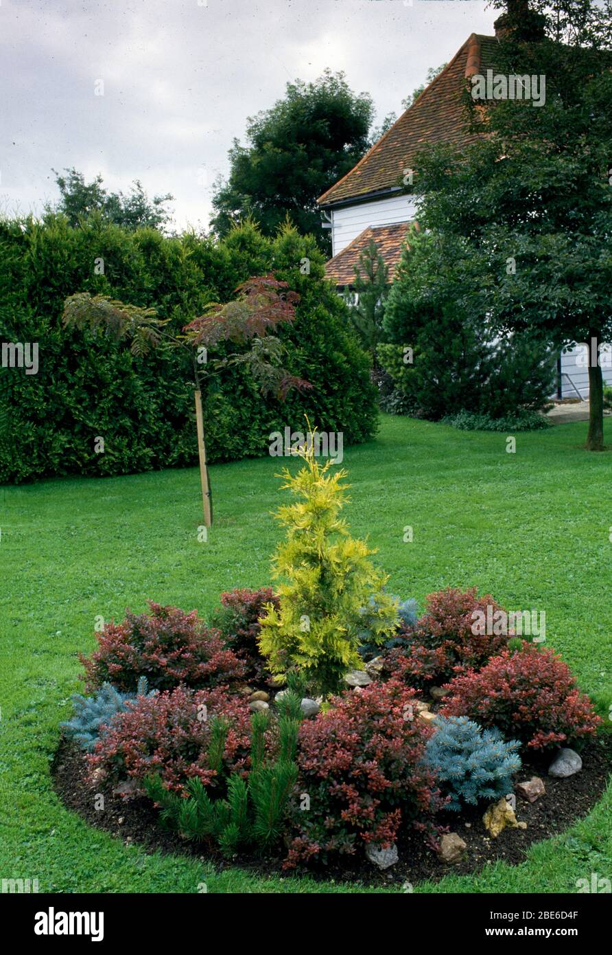Small cicrular bed of heathers and dwarf conifers in large lawn in large country or suburban garden. Stock Photo