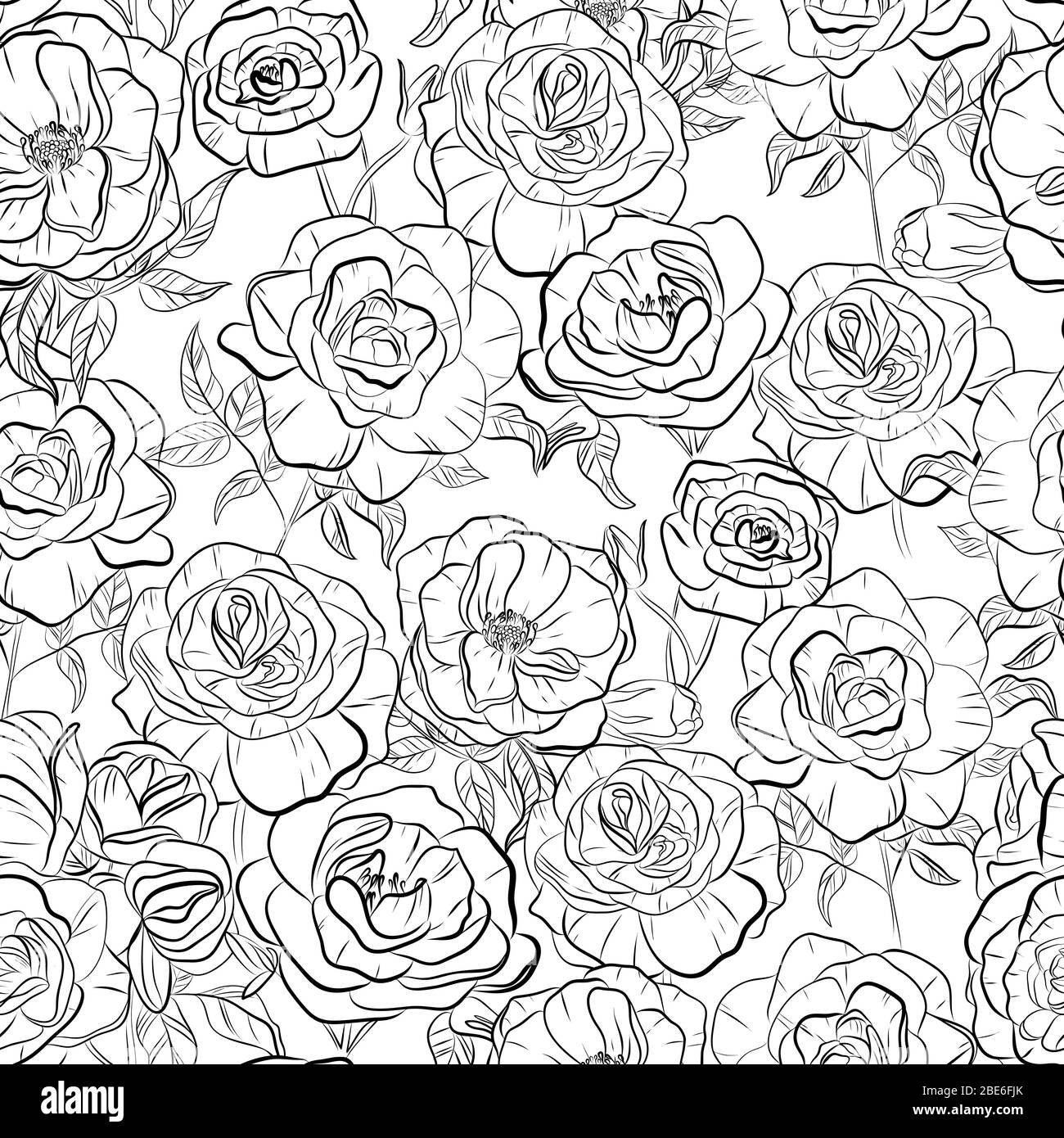 Vector floral seamless pattern. Black and white background with outline  hand drawn rose flowers. Design concept for fabric design, textile print  Stock Vector Image & Art - Alamy