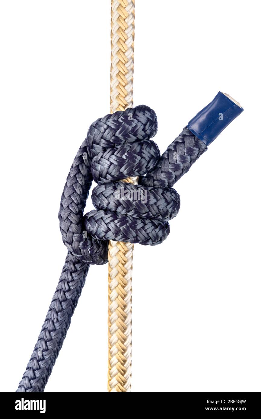 A specialty knot known as Blake’s Hitch is a friction hitch commonly used by arborists and tree climbers to ensure their safety during climbing ascent Stock Photo